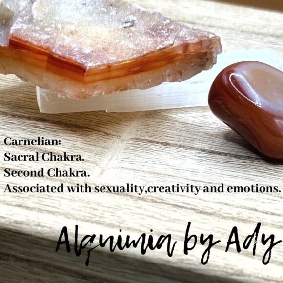 Carnelian chunky beaded bracelet/Stone for Virgo/sacral chakra - Picture 4 of 4